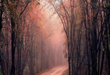 开元棋牌官方APP下载-惊险刺激！龙虎交锋，肉搏终结