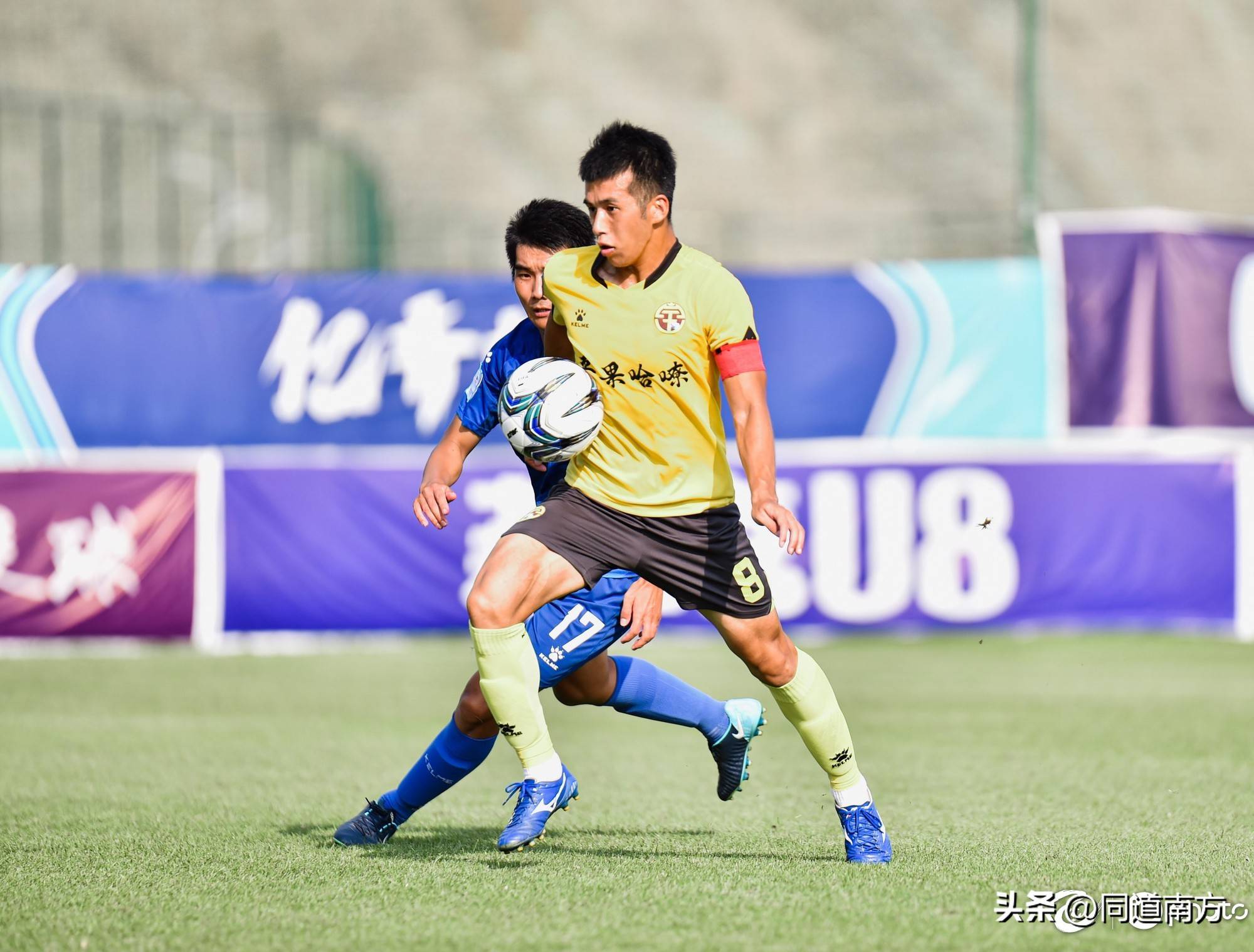 年轻球员崭露头角,成为球队亮点 年轻球员崭露头角,成为球队亮点